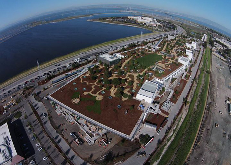 Diseño biofílico de Frank Gehry para las oficinas de Facebook en Menlo Park.