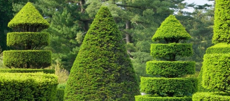 Paisajismo: tendencias en jardines | Connections by Finsa