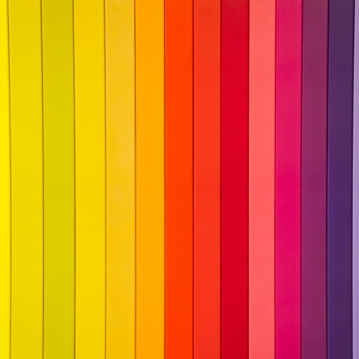10 Instagram accounts that will give some colour to your feed