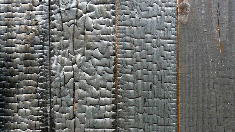 Yakisugi is the new black