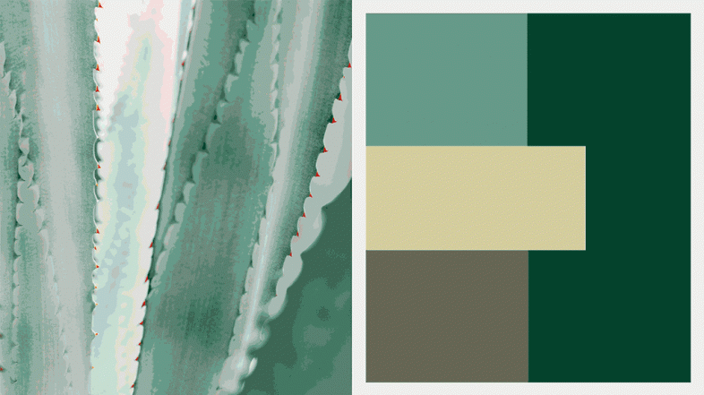 #LunesDeInspiración: verde