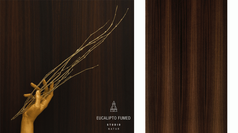 #LunesDeInspiración: Eucalipto fumed