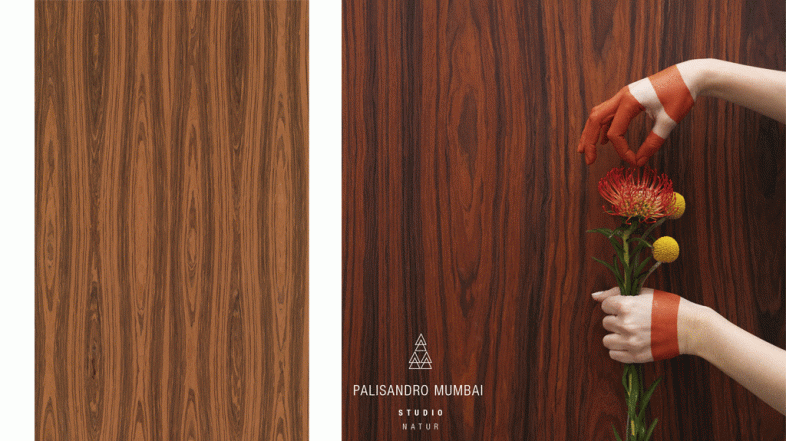 #LunesDeInspiración: Palisandro