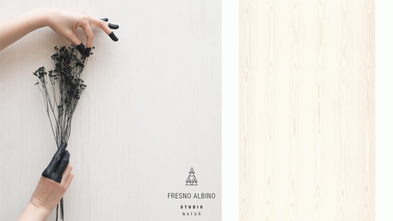 #LunesDeInspiración: Fresno albino