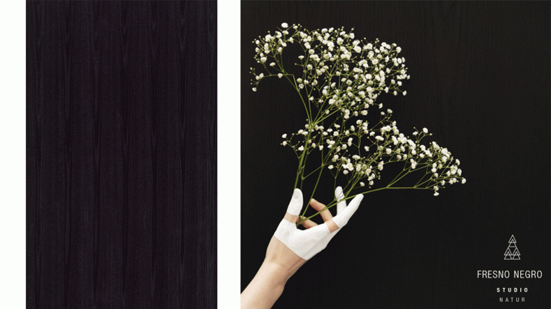 #LunesdeInspiración: Fresno negro