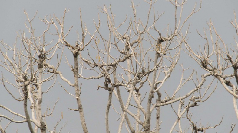 #ViernesDeInspiración: Wabi Sabi