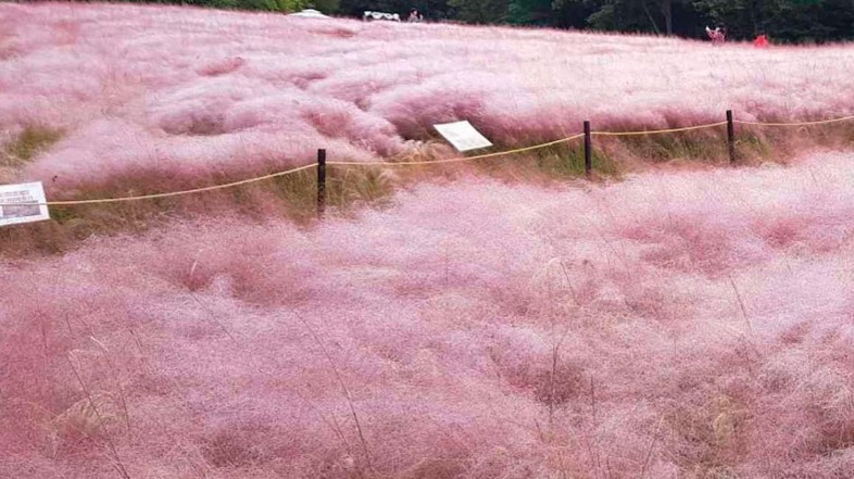 #ViernesDeInspiración: Cuando la naturaleza nos sobrepasa