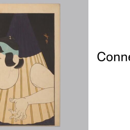 Tsukumogami: When everyday objects  reveal their soul