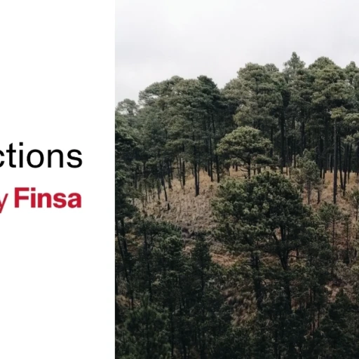 Bois et environnement : comment reconnecter cette table à la forêt dont elle provient
