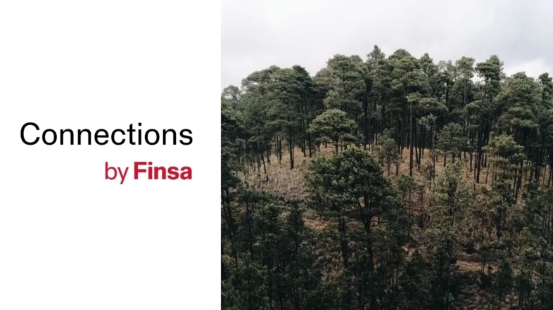 Madera y entorno: cómo volver a vincular esa mesa  con el bosque del que viene